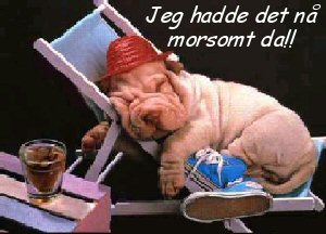 Bilde