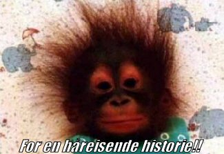 Bilde