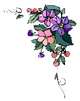 Bilde