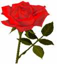 Bilde