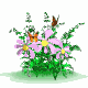 Bilde
