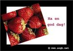 Bilde